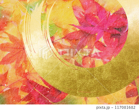 紅葉したモミジの葉 117081682