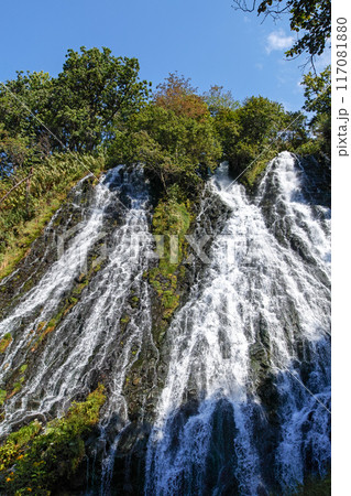 北海道/ 北海道を代表する名瀑 夏の知床「オシンコシンの滝」 北海道/ 北海道を代表する名瀑 夏の知床「オシンコシンの滝」 117081880