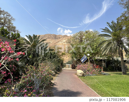 Ein Gedi Botanical Garden on the shores of the Dead Sea 117081906