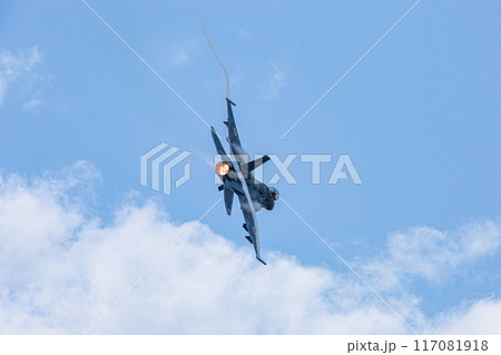 大空を飛ぶ戦闘機 117081918