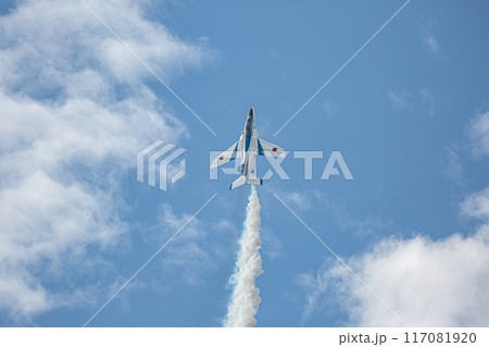 大空に飛ぶブルーインパルス 117081920