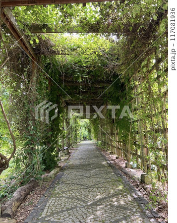 Old wooden corridor pathway pergola in the garden with green leaves on the ground. Old wooden corridor pathway pergola in the garden with green leaves on the ground. 117081936