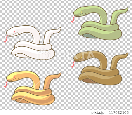 一套四種類型的蛇插圖:白色、金色、綠色和棕色。 一套四種類型的蛇插圖:白色、金色、綠色和棕色。 117082106