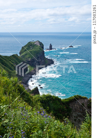 積丹半島神威岬の夏風景 積丹半島神威岬の夏風景 117083261