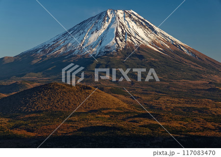 精進湖・パノラマ台から見る夕暮れの富士山 精進湖・パノラマ台から見る夕暮れの富士山 117083470