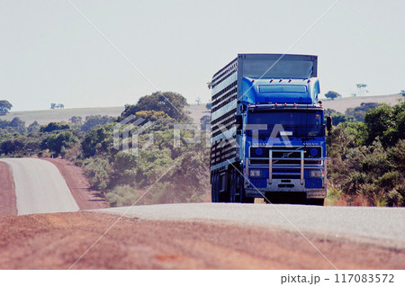 オーストラリアの乾燥地帯を近づいてくる、家畜運搬用セミトレーラー（2000年撮影、ネガフィルム） 117083572