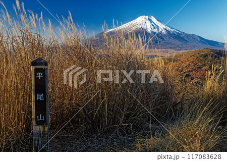 晩秋の平尾山から見る富士山 117083628
