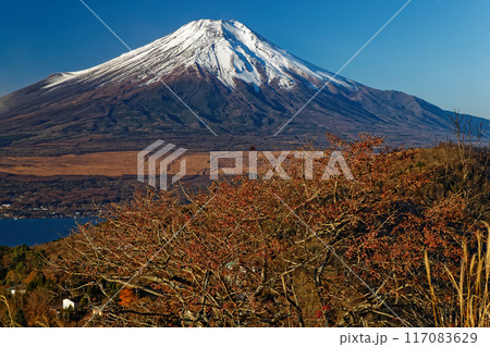 晩秋の平尾山から見る富士山 117083629