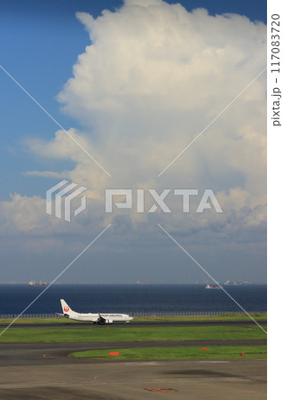 夏空と旅客機 夏の空の旅 夏空と旅客機 夏の空の旅 117083720