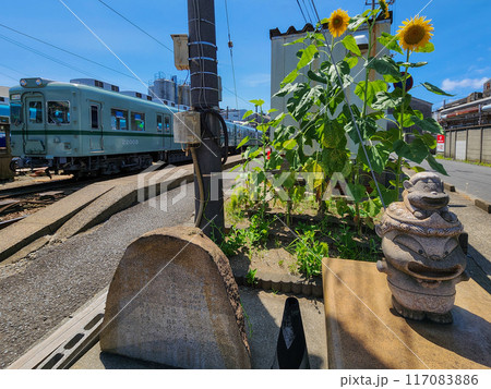 向日葵咲く銚子電鉄仲ノ町駅 117083886