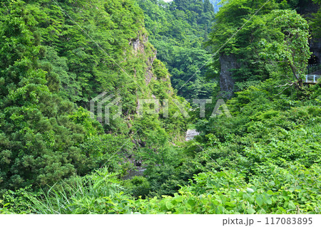 山間の谷間を流れる山間の谷間を流れる清津川渓谷　初夏の風景　新潟県十日町市 117083895