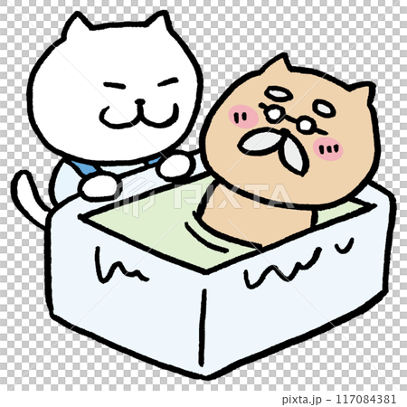 Cute cat character material for caregivers Cute cat character material for caregivers 117084381