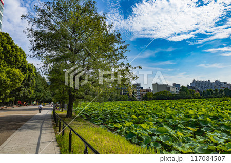上野恩賜公園 117084507