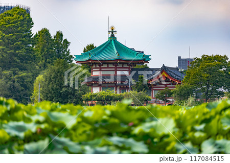 上野恩賜公園 上野恩賜公園 117084515