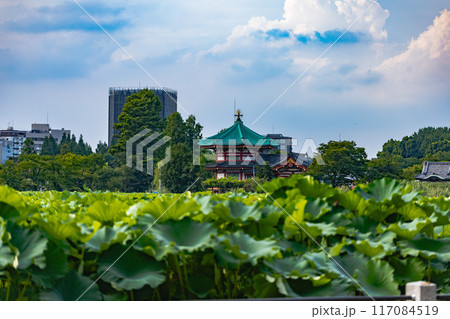 上野恩賜公園 上野恩賜公園 117084519