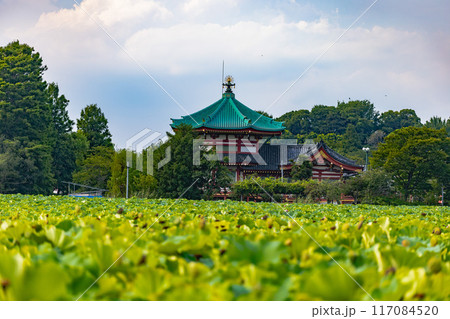 上野恩賜公園 117084520