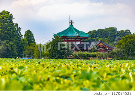 上野恩賜公園 上野恩賜公園 117084522