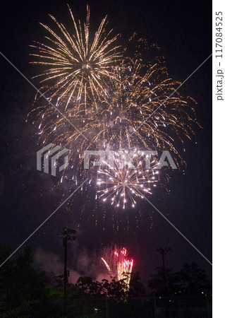 夜空に上がった花火 117084525
