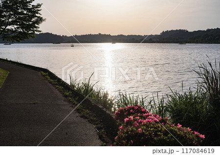 茨城 千波湖の夕景(水戸市) 茨城 千波湖の夕景(水戸市) 117084619