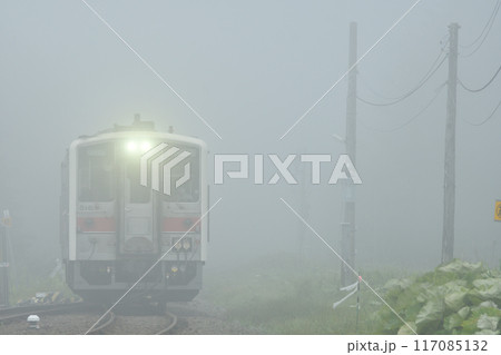 霧の中走る花咲線の列車 霧の中走る花咲線の列車 117085132