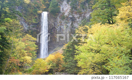 平湯大滝,。日本の滝百選。紅葉と滝。 平湯大滝,。日本の滝百選。紅葉と滝。 117085167