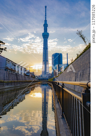 スカイツリー 117085226