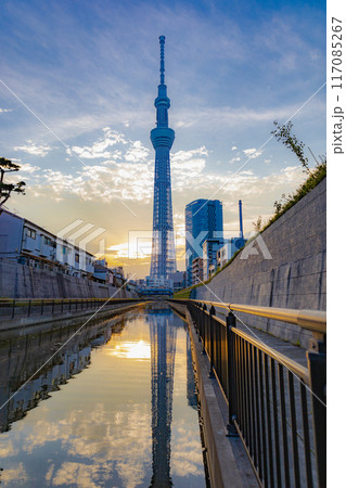 スカイツリー スカイツリー 117085267