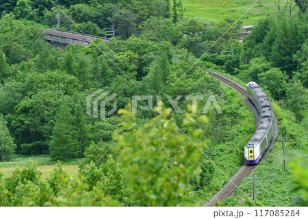 狩勝峠を登るキハ261系の特急「おおぞら」 狩勝峠を登るキハ261系の特急「おおぞら」 117085284