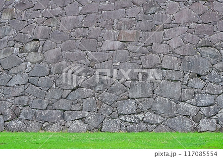 乱積の石垣（盛岡城跡） 117085554