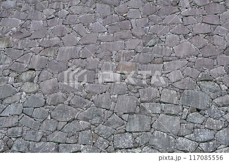 乱積の石垣（盛岡城跡） 117085556