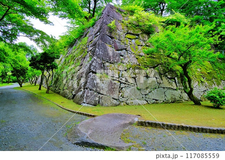 盛岡城跡公園(岩手公園)の風景 盛岡城跡公園(岩手公園)の風景 117085559