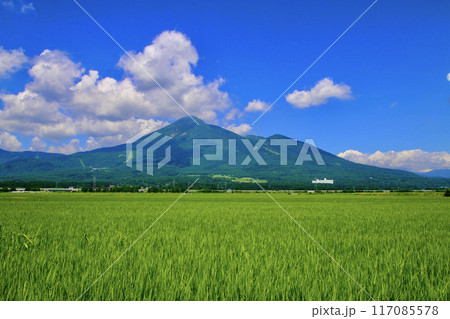 田んぼと磐梯山・盛夏(福島県・猪苗代町) 田んぼと磐梯山・盛夏(福島県・猪苗代町) 117085578