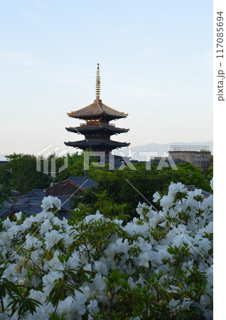 百合の花に浮かぶ五重塔 117085694