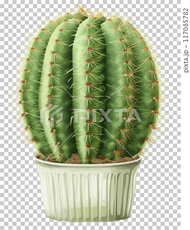 cactus 117085782