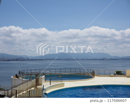 海 117086607