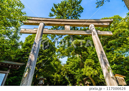 日本の寒川都市景観 相模國一之宮 寒川神社・三の鳥居など望む=令和6年7月21日 日本の寒川都市景観 相模國一之宮 寒川神社・三の鳥居など望む=令和6年7月21日 117086626