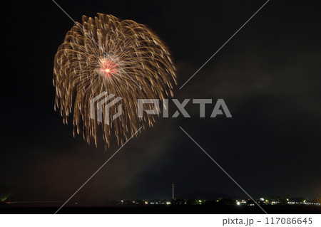 夜空彩る大輪の花 <安倍川花火大会> 夜空彩る大輪の花 <安倍川花火大会> 117086645