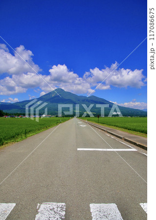 まっすぐな道と磐梯山・盛夏(福島県・猪苗代町) まっすぐな道と磐梯山・盛夏(福島県・猪苗代町) 117086675