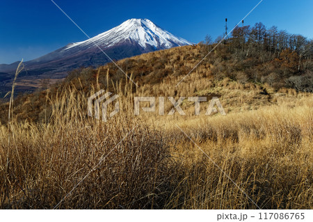 晩秋の大平山稜線から見る富士山 117086765