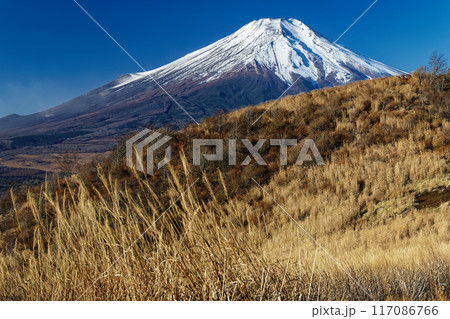 晩秋の大平山稜線から見る富士山 117086766