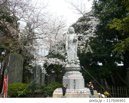 宗吾霊堂 (千葉県成田市) 宗吾霊堂 (千葉県成田市) 117086901
