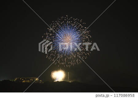 打ち上げ花火 <日本平> 打ち上げ花火 <日本平> 117086958