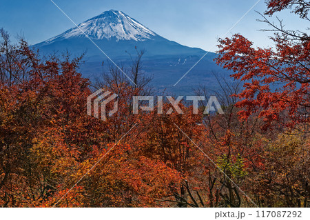 紅葉台から見る富士山と紅葉 117087292