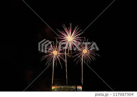 夏の夜空に咲く花火　＜桑名水郷花火大会＞ 117087304