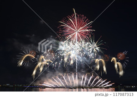 夏の夜空に咲く花火 <桑名水郷花火大会> 夏の夜空に咲く花火 <桑名水郷花火大会> 117087313