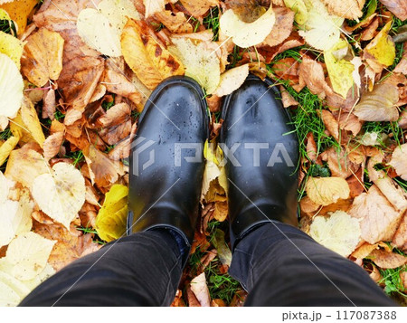 カラフルな落ち葉が彩る足元 カラフルな落ち葉が彩る足元 117087388