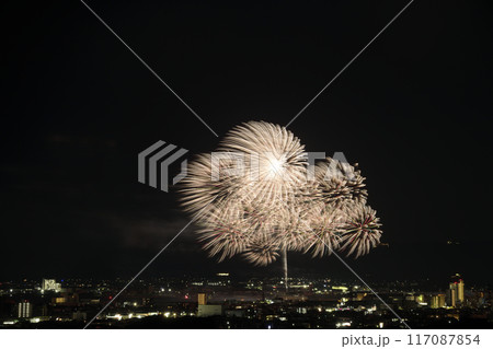 夏の夜空に咲く華麗な花火 <蒲郡納涼花火大会> 夏の夜空に咲く華麗な花火 <蒲郡納涼花火大会> 117087854
