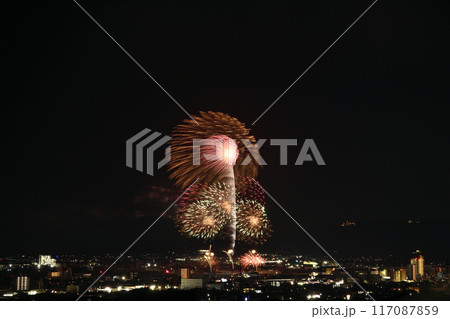 夏の夜空に咲く華麗な花火  <蒲郡納涼花火大会> 117087859