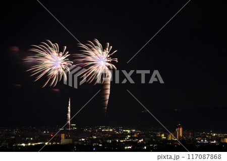 夏の夜空に咲く華麗な花火 <蒲郡納涼花火大会> 夏の夜空に咲く華麗な花火 <蒲郡納涼花火大会> 117087868