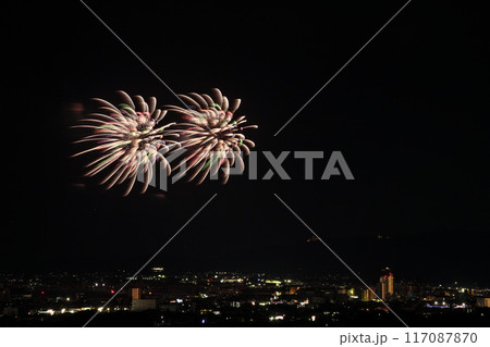 夏の夜空に咲く華麗な花火  <蒲郡納涼花火大会> 117087870